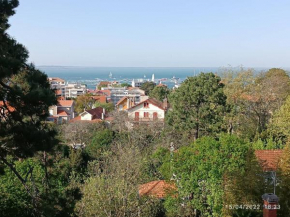 Arcachon: Appart 60m², 500m Plage, 4 Pers - FR-1-433-88